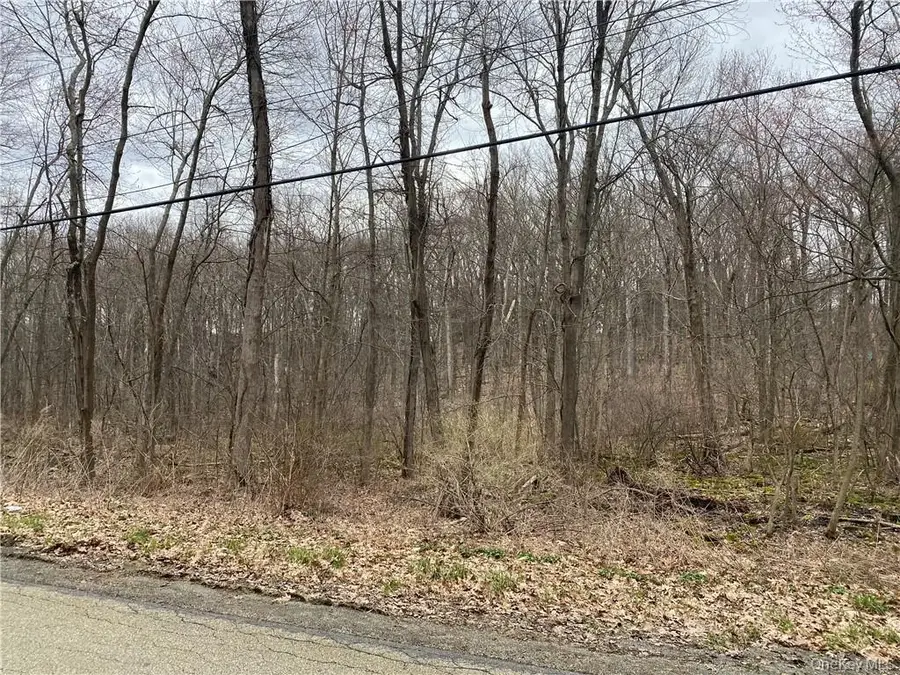 S Mill Street, Newburgh, NY 12550 - #2