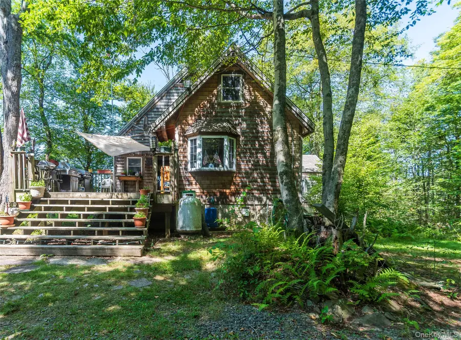 885 Grandview Road, Hancock, NY 13783 - #3