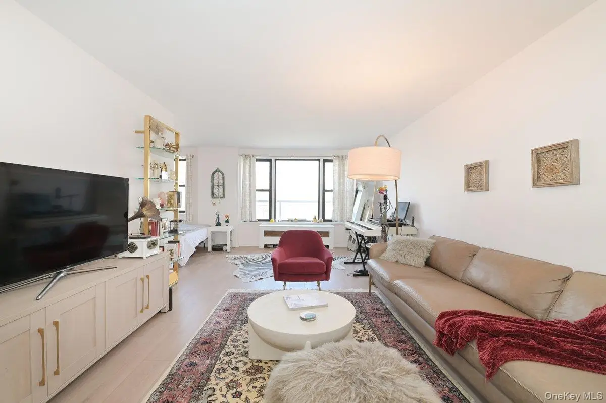 6 Birchwood Court #3A, Mineola, NY 11501 - #1