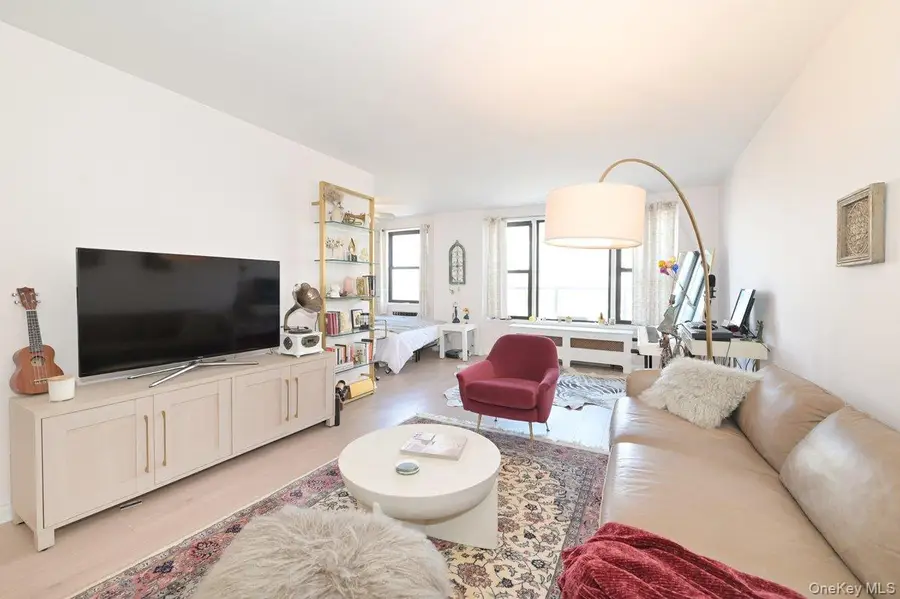 6 Birchwood Court #3A, Mineola, NY 11501 - #3