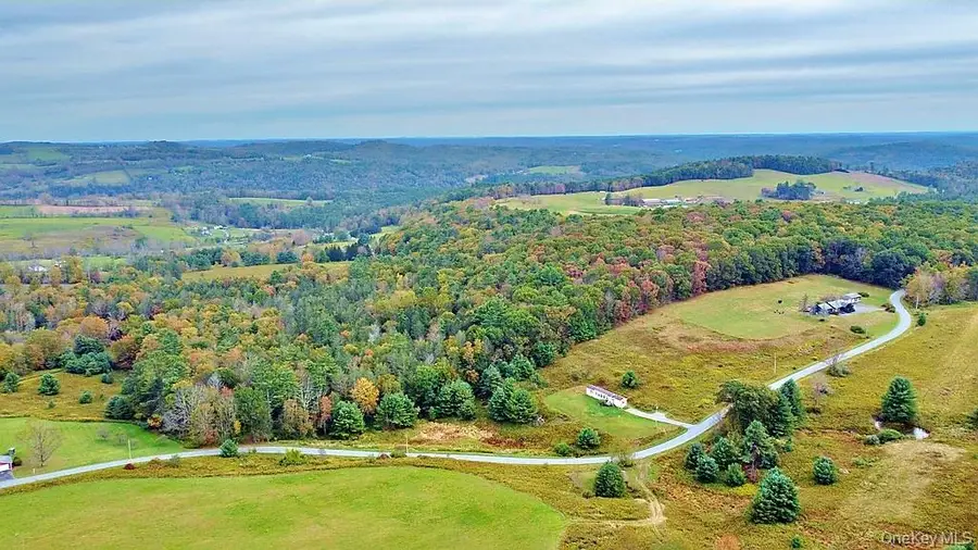 000 Kautz Road, Callicoon, NY 12723 - #3