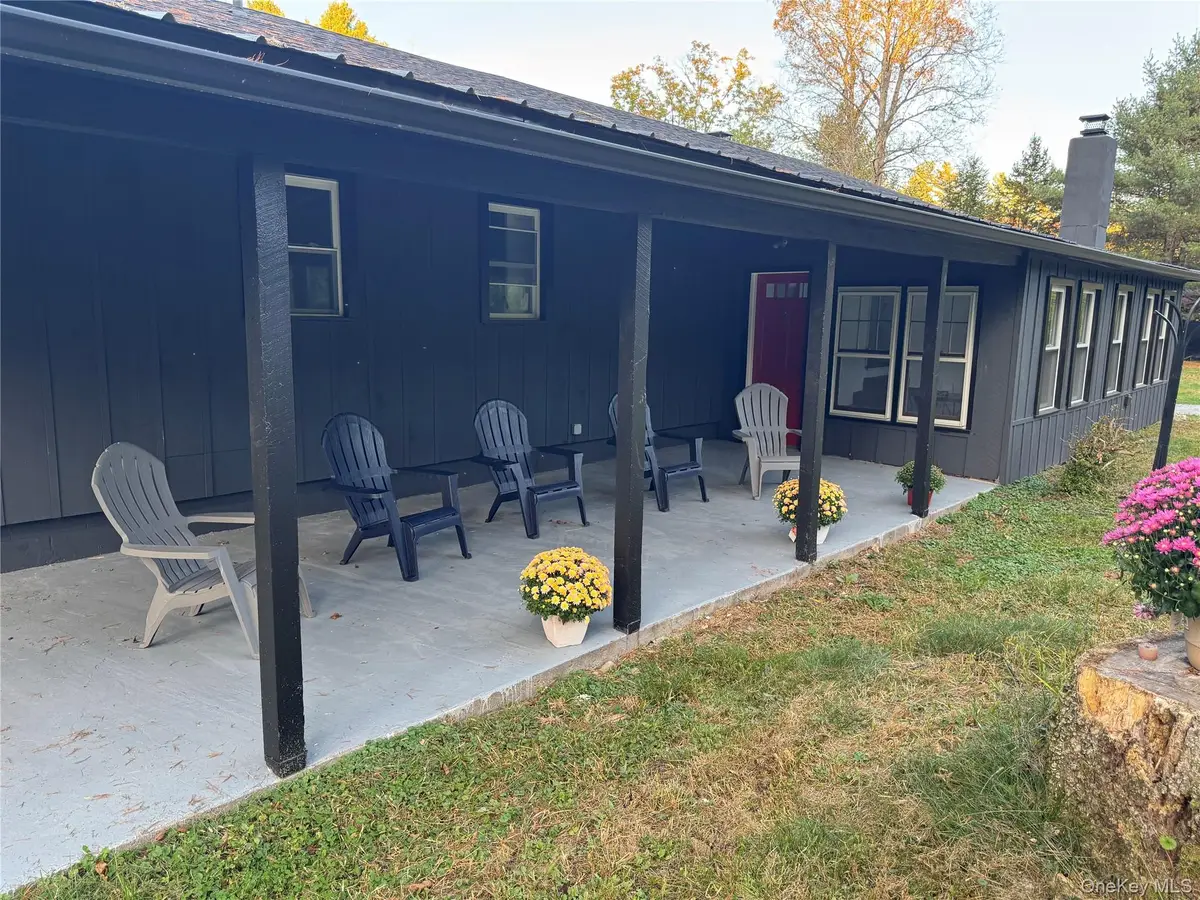 273 Blind Pond Road, Narrowsburg, NY 12764 - #1