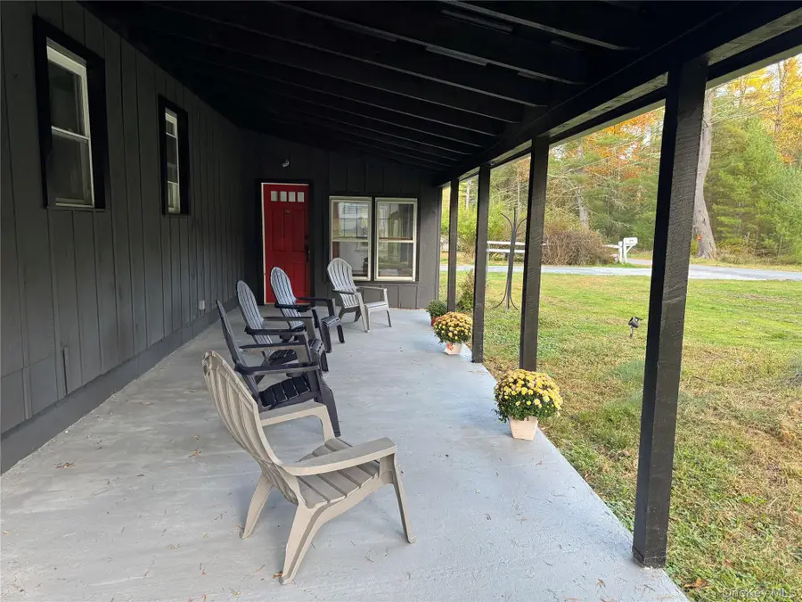273 Blind Pond Road, Narrowsburg, NY 12764 - #2