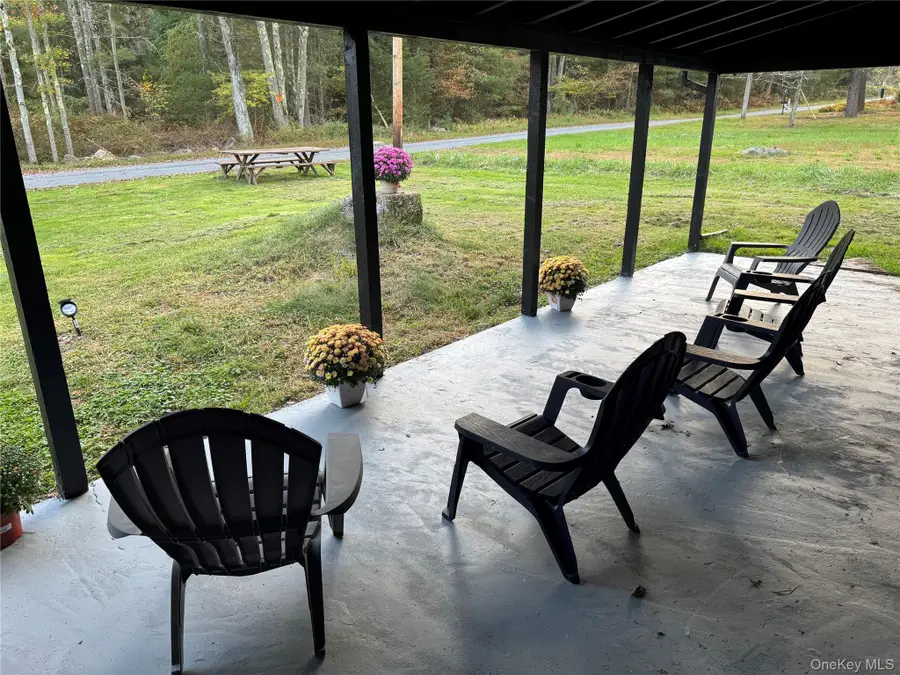 273 Blind Pond Road, Narrowsburg, NY 12764 - #3