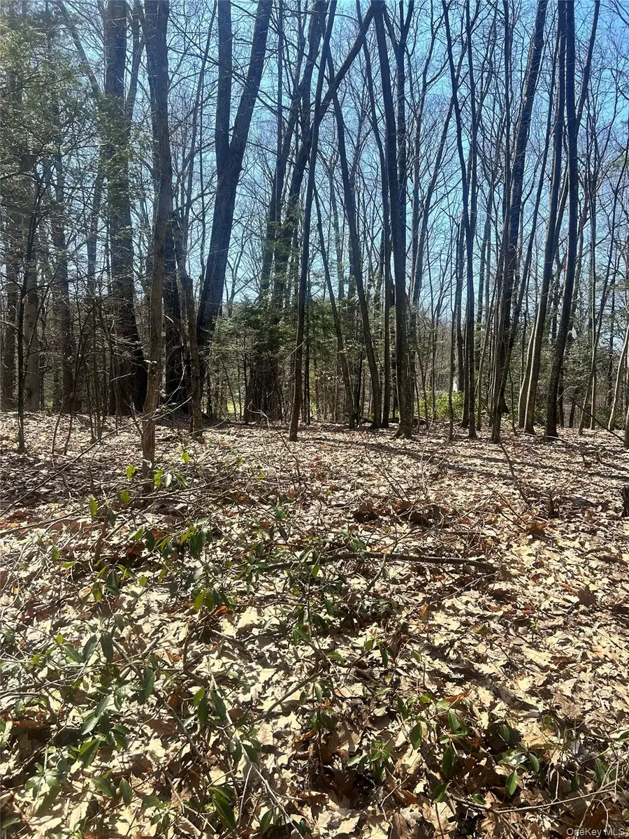 TBD Sidney Street, Kerhonkson, NY 12446 - #2