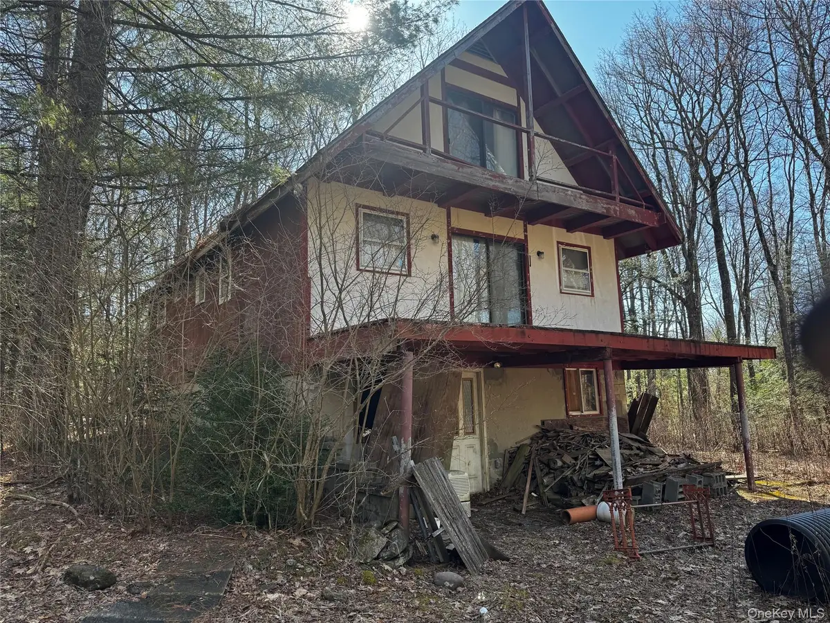 319 N Lake Road, Hunter, NY 12442 - #1