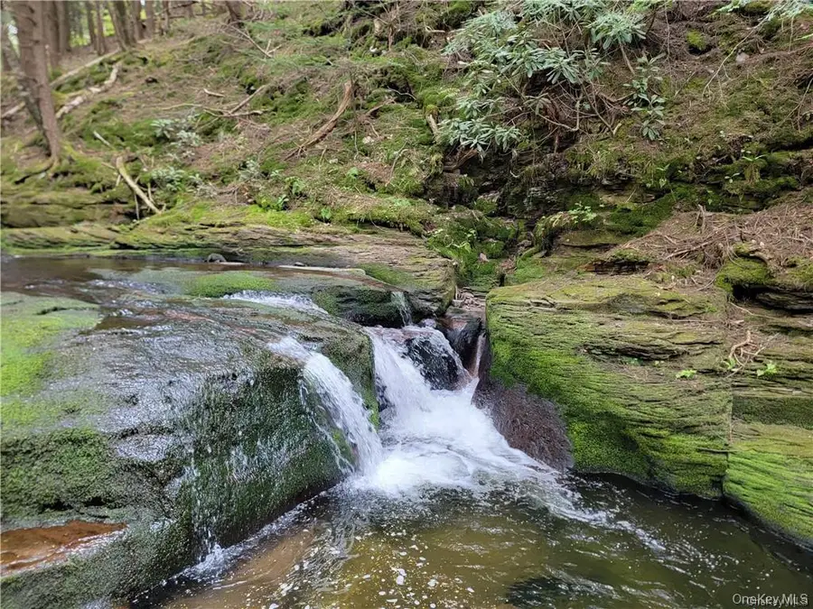 172 Eagles Ridge Way, Parksville, NY 12768 - #2