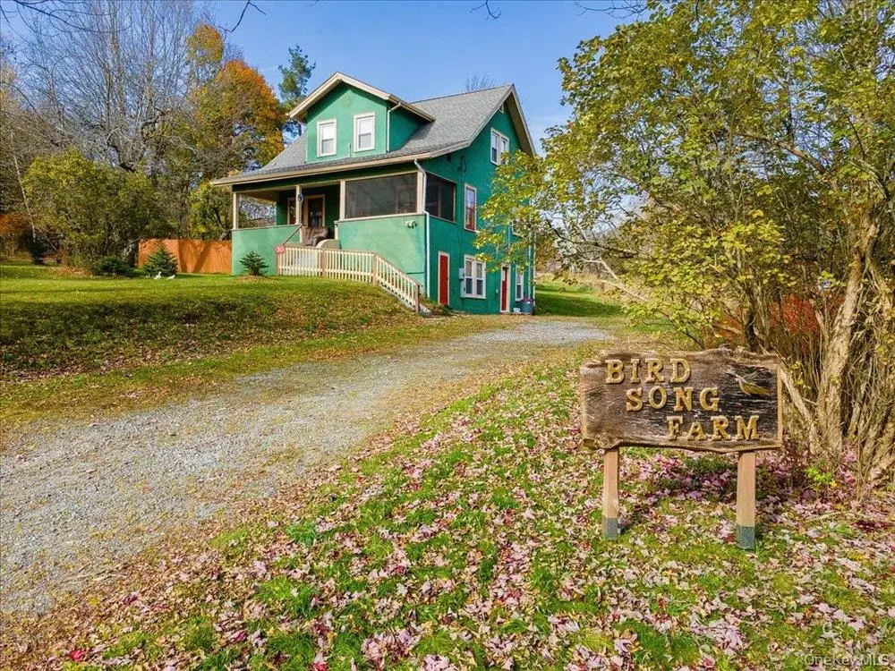 30 Walnut Mountain Road, Liberty, NY 12754 - #1