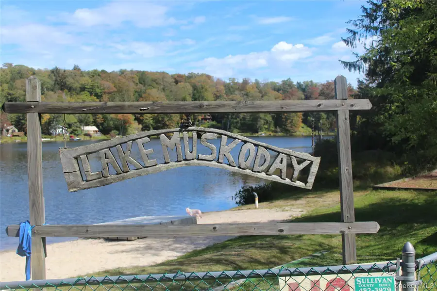 Trout Brook Road, Fremont, NY 12736 - #3