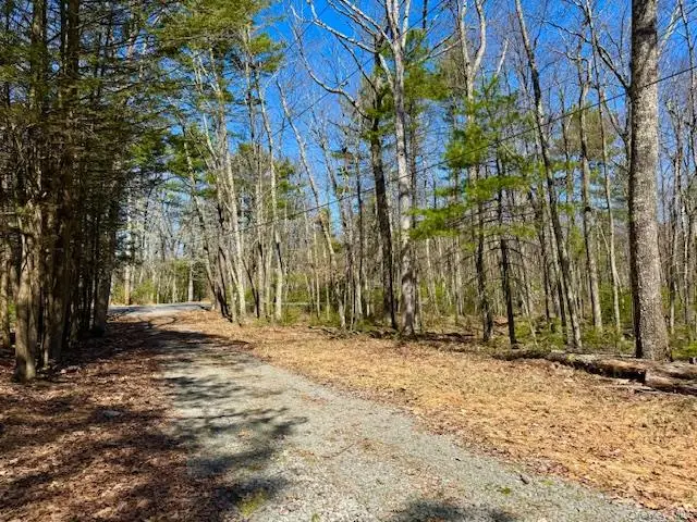 42 Devlin Road, Highland Lake, NY 12743 - #2