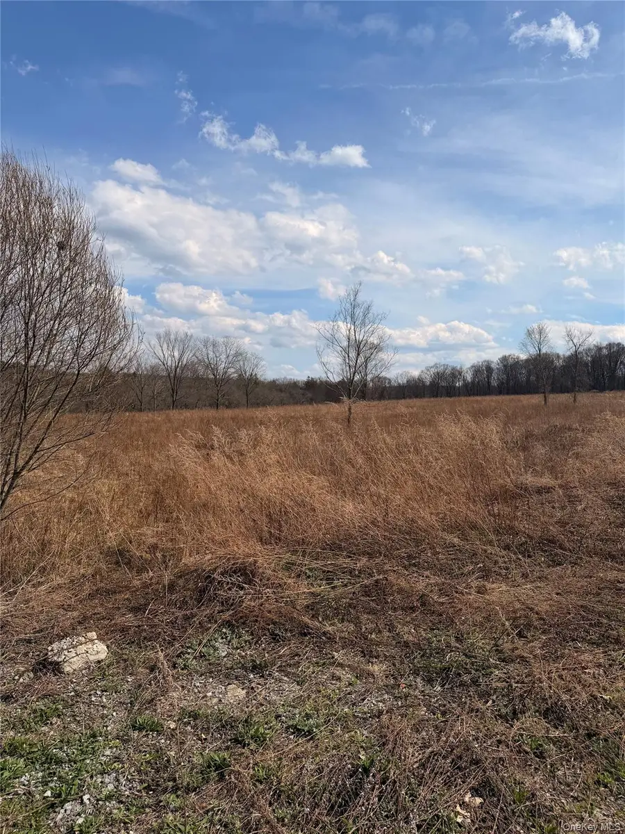 0 Route 55, Lagrangeville, NY 12540 - #3