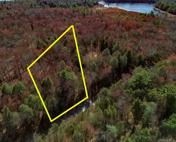Lot 2 Deer Meadow Road, Bethel, NY 12720