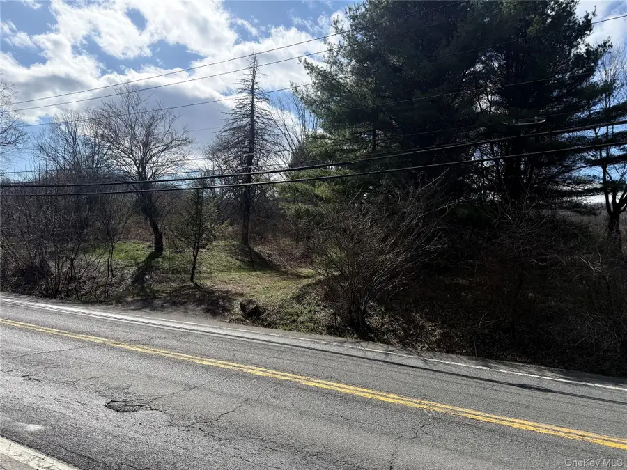 5019 Route 22, Amenia, NY 12501 - #3