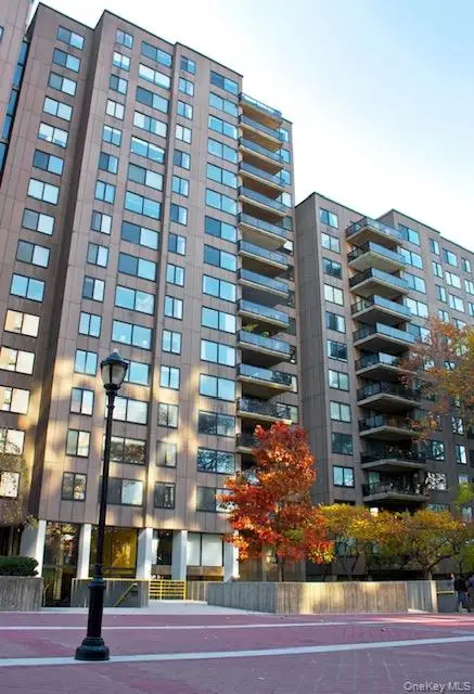 531 Main Street #1511, New York (Manhattan), NY 10044