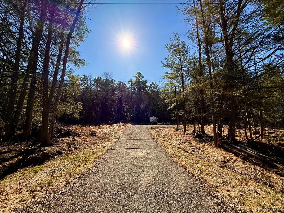 Park Lane, Yulan, NY 12792 - #1