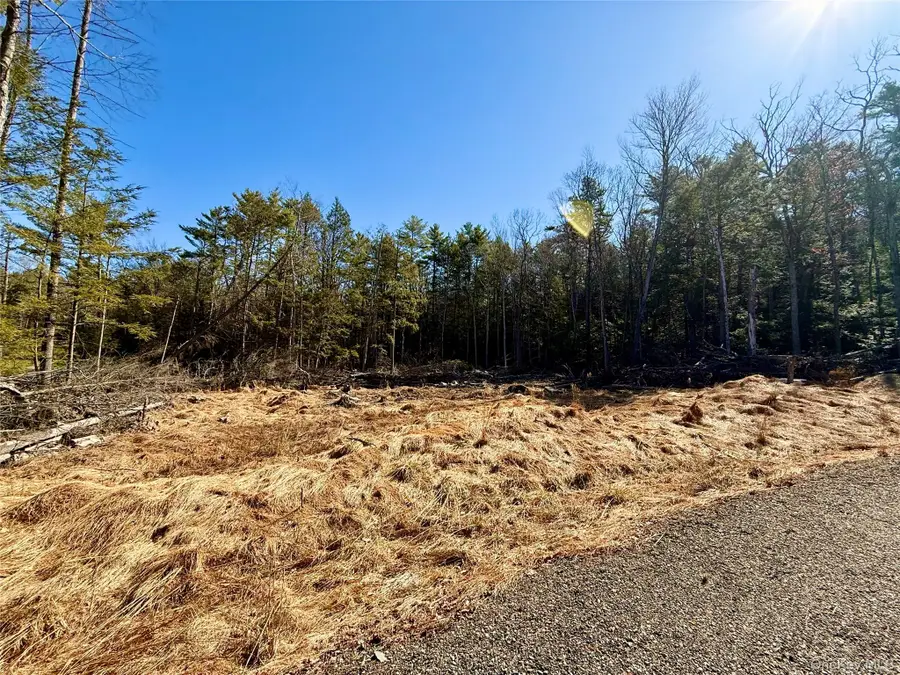 Park Lane, Yulan, NY 12792 - #3