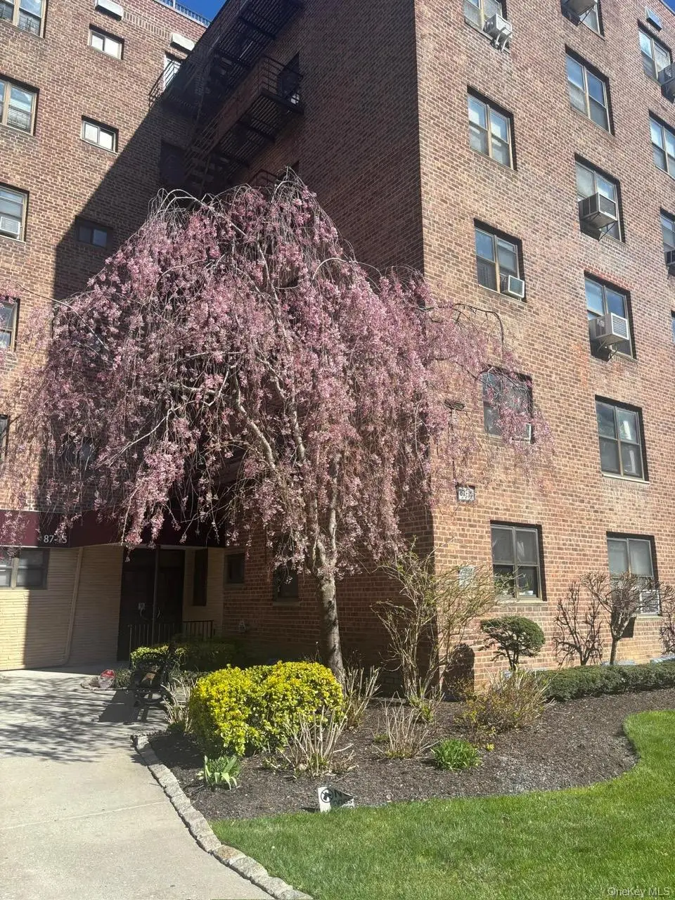 87-19 204th Street #A68, Hollis, NY 11423 - #1