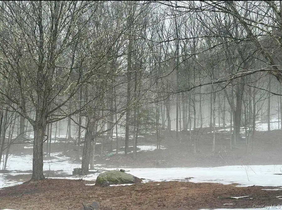 804 Hearts Content Road, Cairo, NY 12413 - #3