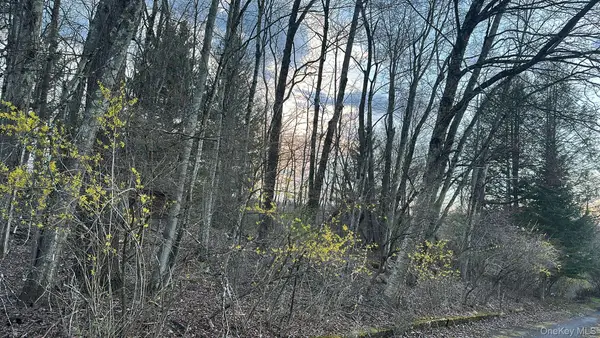 TBD Diane Boulevard, Woodridge, NY 12789