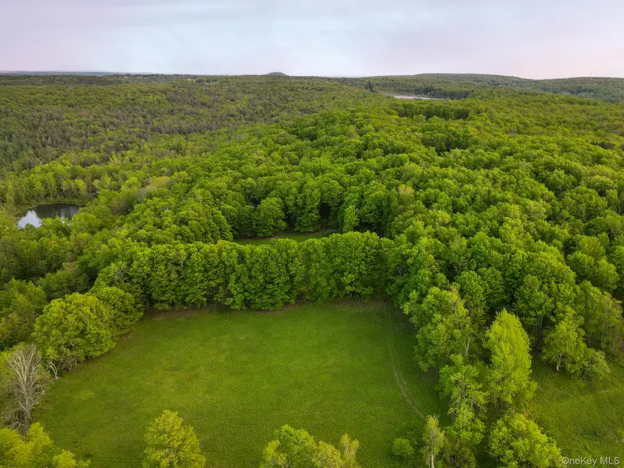 1 Hall Hill Road, Parksville, NY 12768 - #3