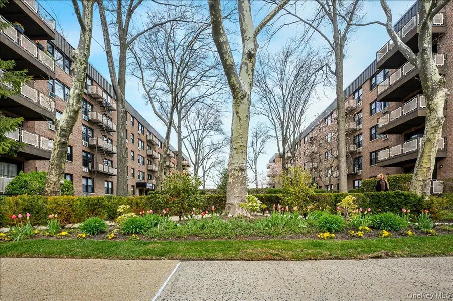 4 Birchwood #1B, Mineola, NY 11501 - #2