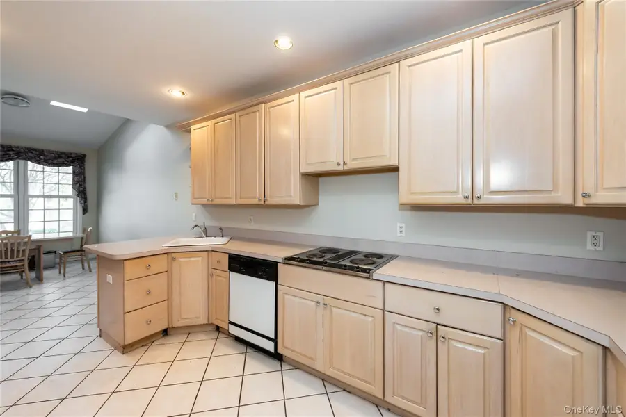 163 Doral Court, Roslyn, NY 11576 - #3