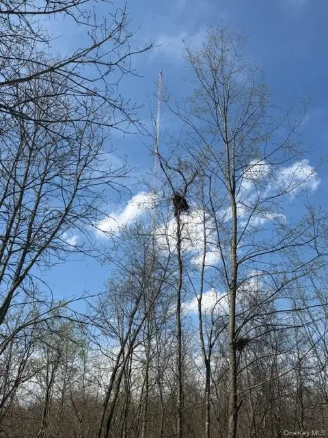 509 Route 9g, Hyde Park, NY 12538