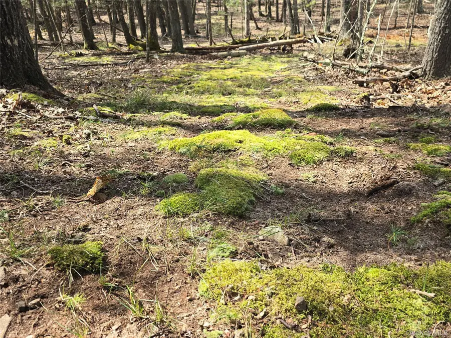 Lot 5 Evergreen Drive, Saugerties, NY 12477 - #2