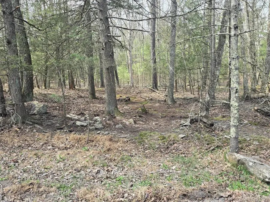 Lot 5 Evergreen Drive, Saugerties, NY 12477 - #3