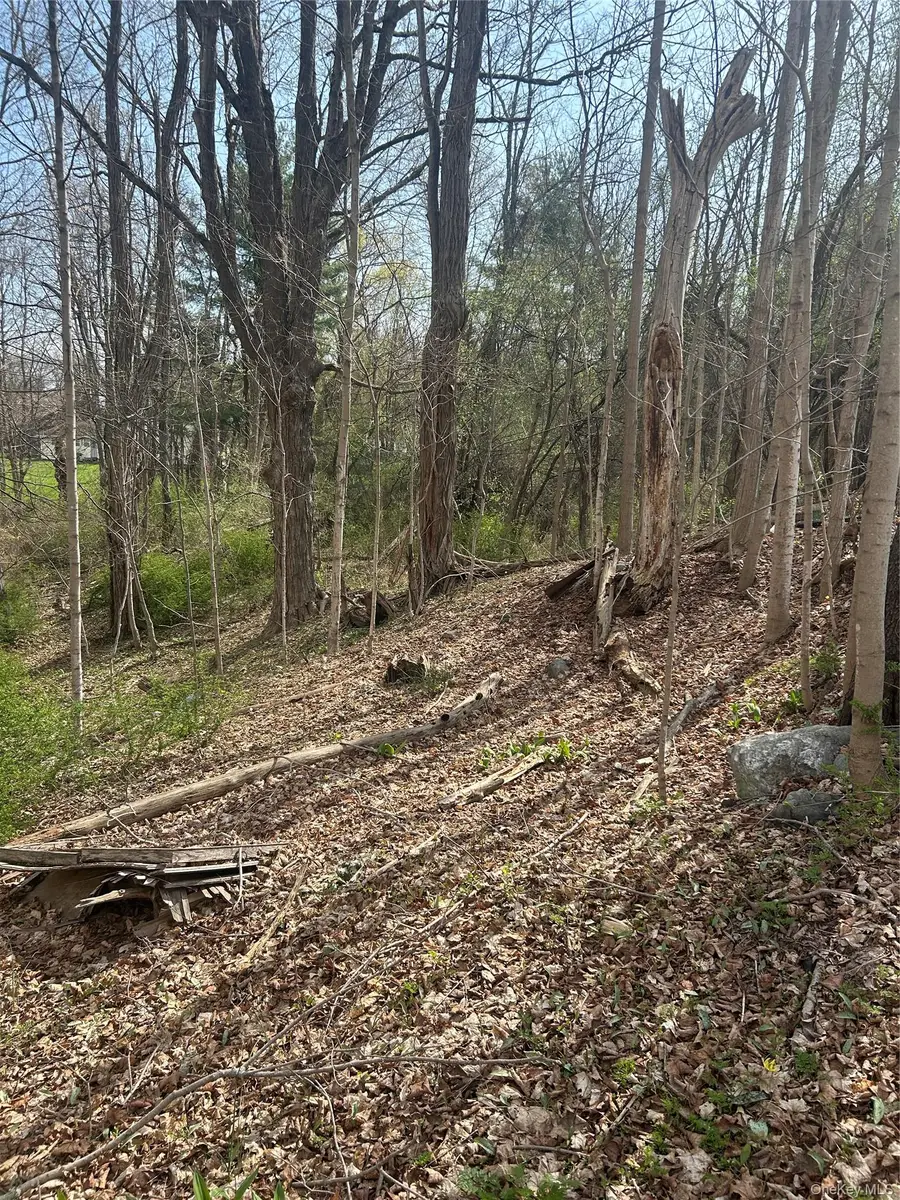 552 Holmes Road, Holmes, NY 12531 - #3