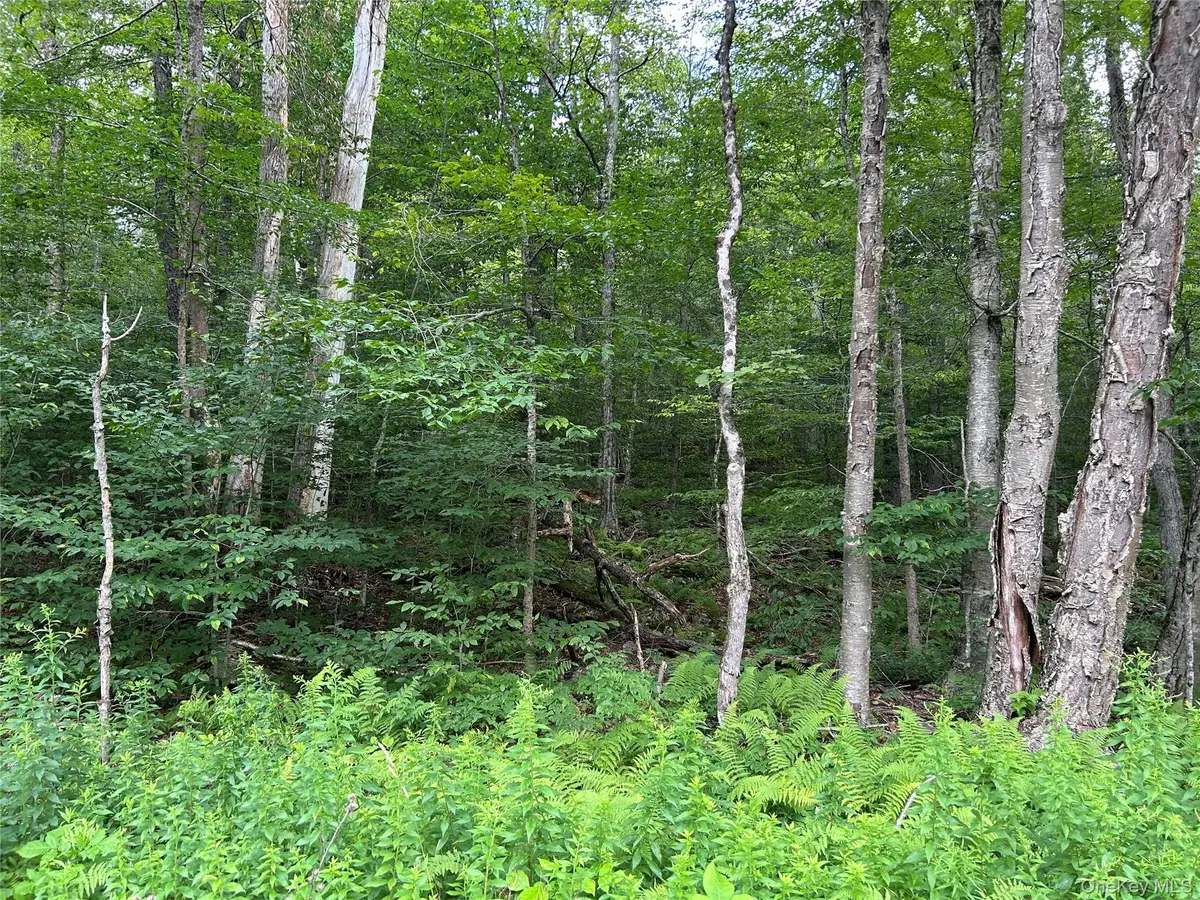 Frrost Valley Road, Claryville, NY 12725 - #1