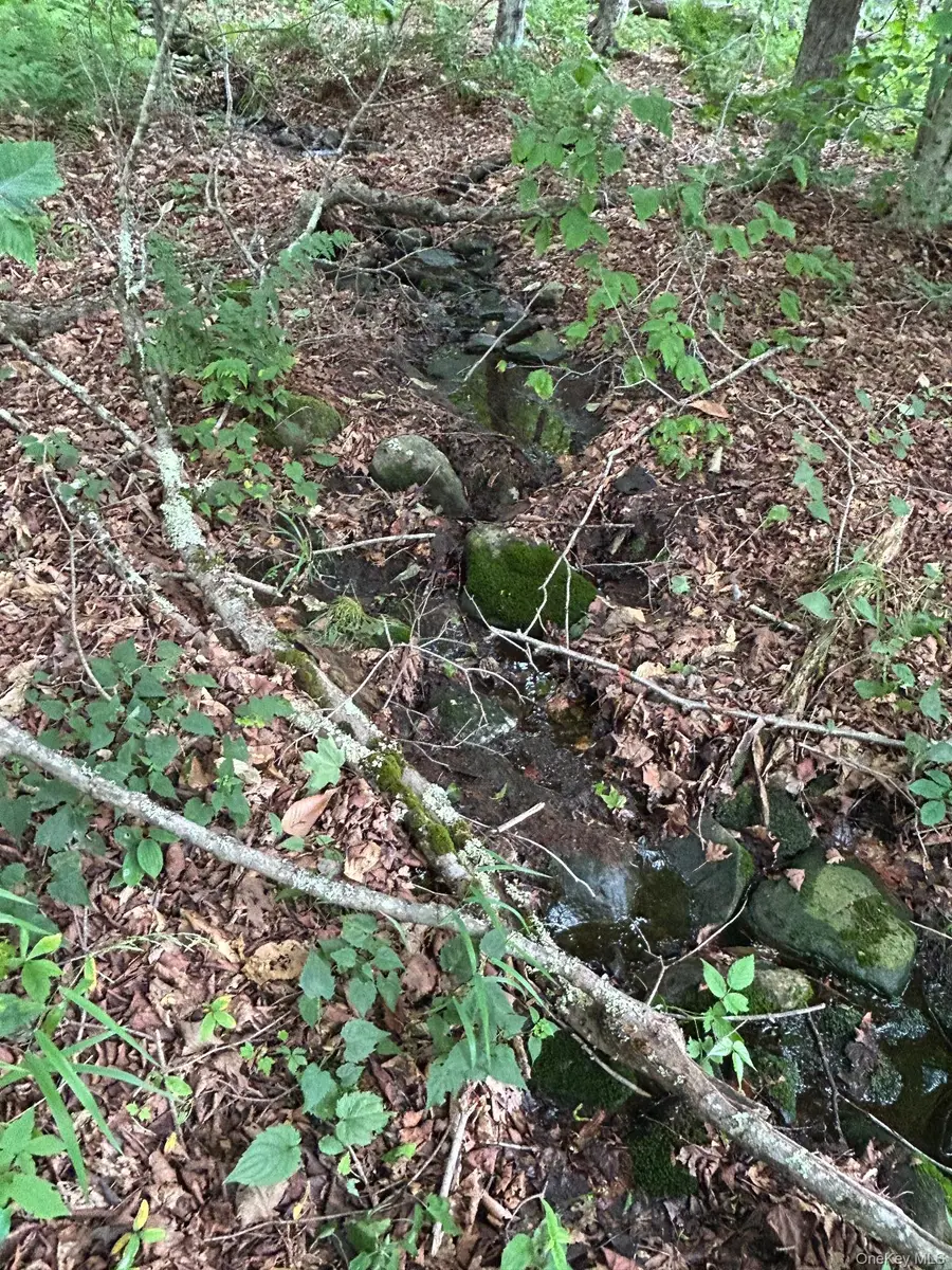 Frrost Valley Road, Claryville, NY 12725 - #3