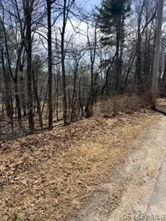 14 Old Country Road, Deerpark, NY 12780 - #3