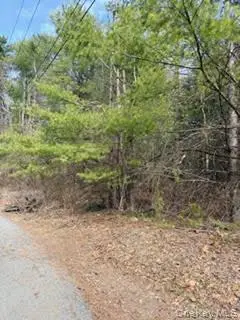 1304 Us Route 209, Cuddebackville, NY 12729