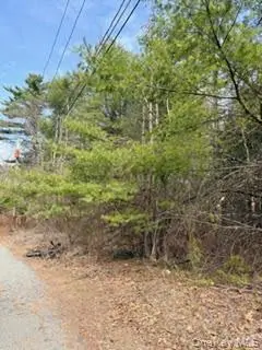 1304 Us Route 209, Cuddebackville, NY 12729 - #2