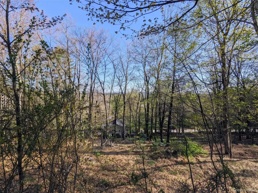 33 E Tusten Place, Smallwood, NY 12778 - #2