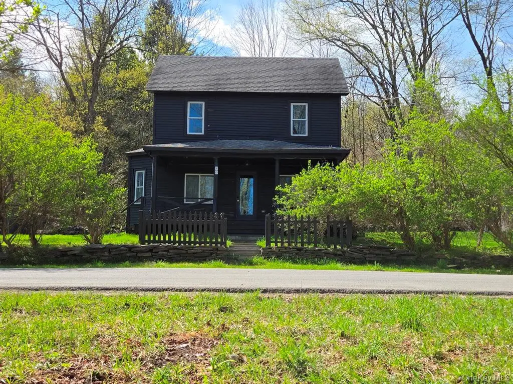 86 Plank Road, Mongaup Valley, NY 12762 - #1