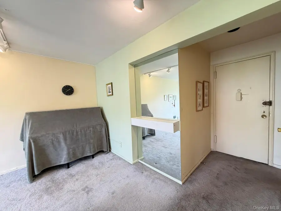 185 S Middle Neck Road #3C, Great Neck, NY 11021 - #3