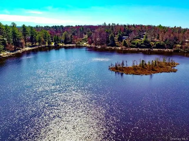 26 E Adirondack Trail, Smallwood, NY 12778 - #2