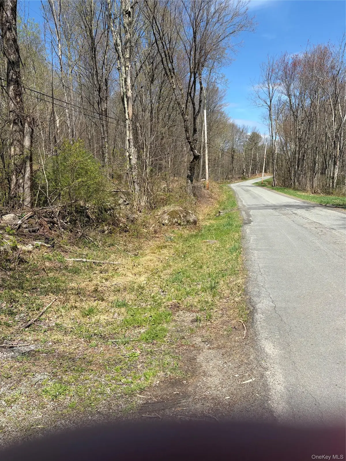 209 Stream Hollow, Wawarsing, NY 12428 - #1