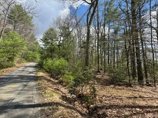 Lot 73.6 Pine Road, Glen Spey, NY 12737 - #1