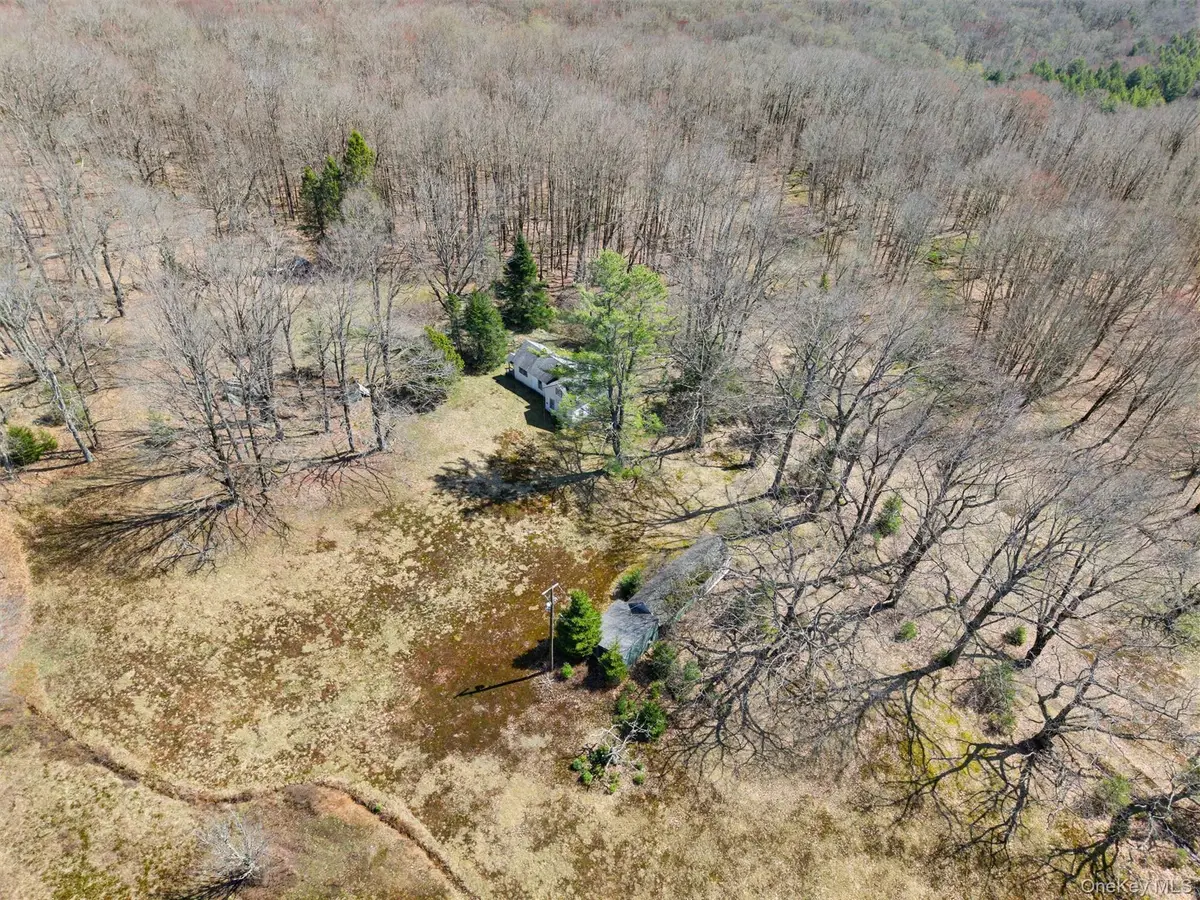 467 Old Hunter Road, Livingston Manor, NY 12758 - #1