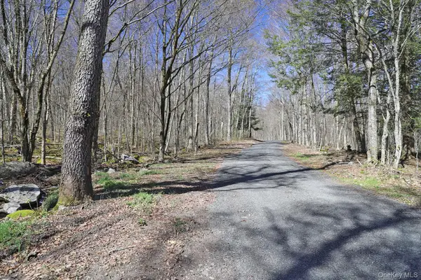 Bethlehem Road, Callicoon Center, NY 12724