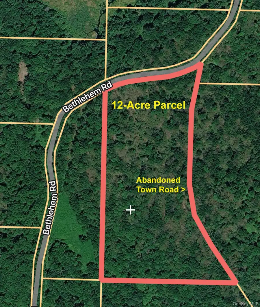 Bethlehem Road, Callicoon Center, NY 12724 - #3