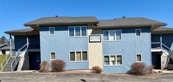 5 Joe D Drive #5A, Callicoon, NY 12723