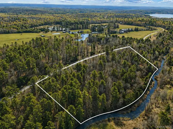 Chapin Trail, White Lake, NY 12786