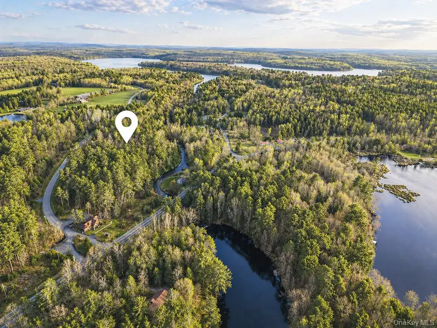 Chapin Trail, White Lake, NY 12786 - #2