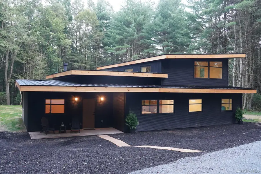 233 Goldsmith Road, Jeffersonville, NY 12748 - #2