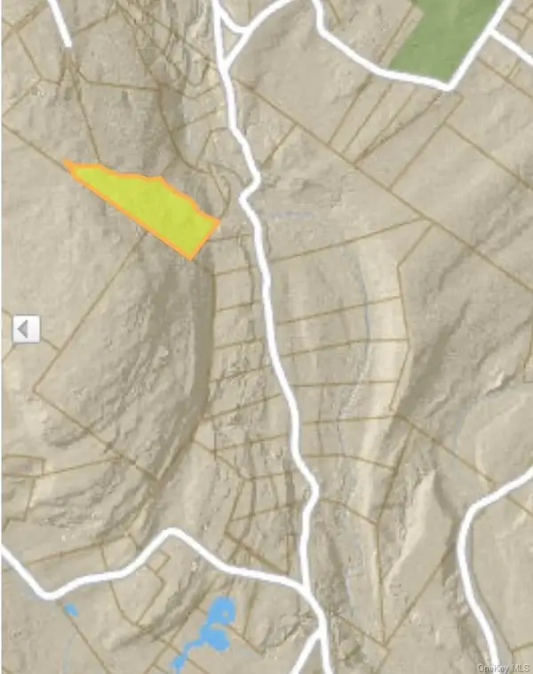 Dewitt Road, Olivebridge, NY 12461