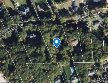 601 Caledonia Road, Dix Hills, NY 11746 - #3